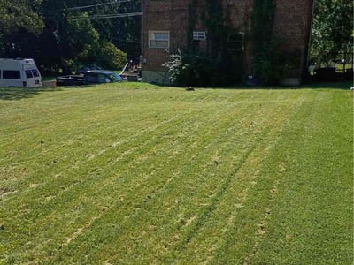 Lawn Care service in Murrysville, 15668
