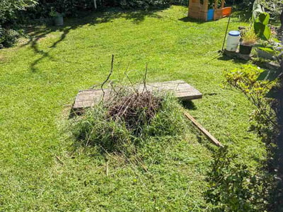 Lawn Care service in Winchester, 22601