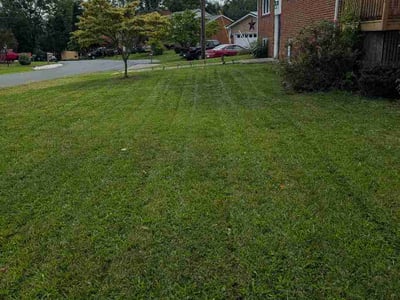 Lawn Care service in Winchester, 22601