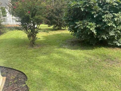 Lawn Care service in Ocean Isle Beach, 28469