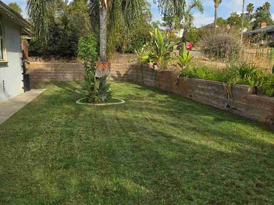 Lawn Care service in San Jacinto, 92583