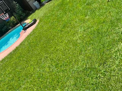 Lawn Care service in Attleboro, 02703