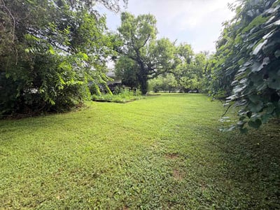 Lawn Care service in Hopewell, 23860