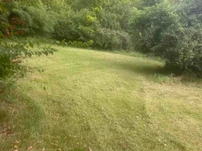 Lawn Care service in Jefferson City, 65101