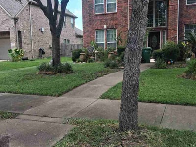 Lawn Care service in Sugar Land, 77479