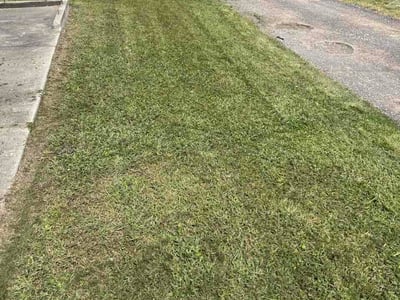 Lawn Care service in Marion, 62959