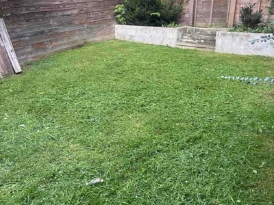 Lawn Care service in Powhatan, 23139