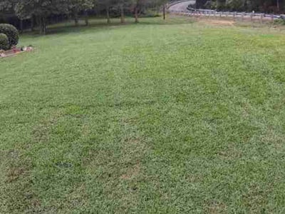Lawn Care service in Smithfield, 23430