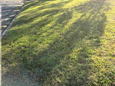 Lawn Care service in Saginaw, 76179