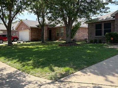 Lawn Care service in Saginaw, 76179