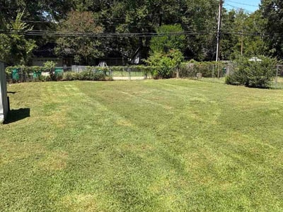 Lawn Care service in Texarkana, 75501