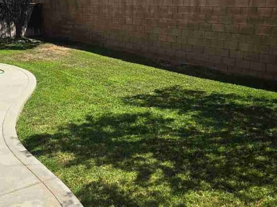 Lawn Care service in Chino, 91710