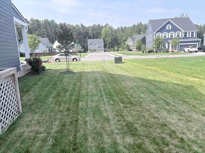 Lawn Care service in Mechanicsville, 23111