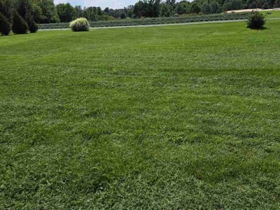 Lawn Care service in Chambersburg, 17201