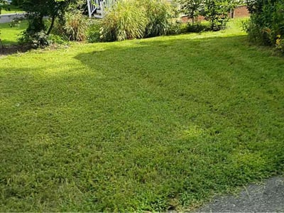 Lawn Care service in Charles City, 23030