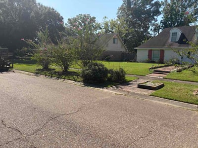 Lawn Care service in Texarkana, 71854