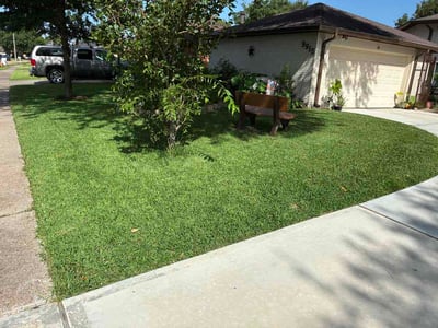 Lawn Care service in La Porte, 77571