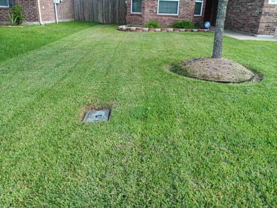 Lawn Care service in La Marque, 77568