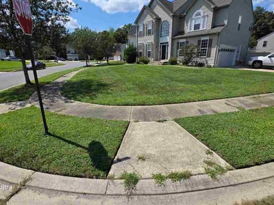 Lawn Care service in Suitland, 20746