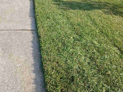 Lawn Care service in La Marque, 77568