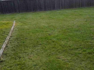 Lawn Care service in Savage, 55378