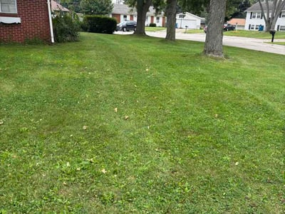 Lawn Care service in Goshen, 46526