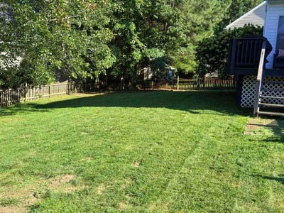 Lawn Care service in Chesterfield, 23832