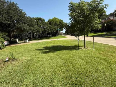 Lawn Care service in Southlake, 76092