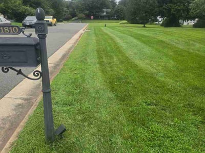 Lawn Care service in Herndon, 20170
