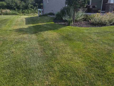 Lawn Care service in Hudson, 54016