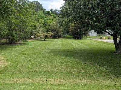 Lawn Care service in Albany, 31701