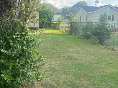 Lawn Care service in Albany, 31701