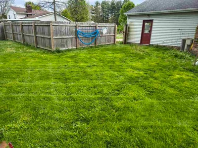 Lawn Care service in Hudson, 54016