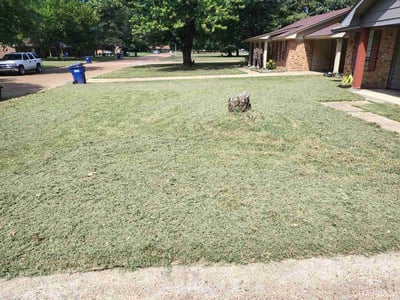 Lawn Care service in Hernando, 38632