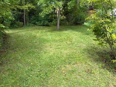 Lawn Care service in Hudson, 54016