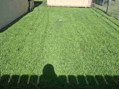 Lawn Care service in Winnie, 77665