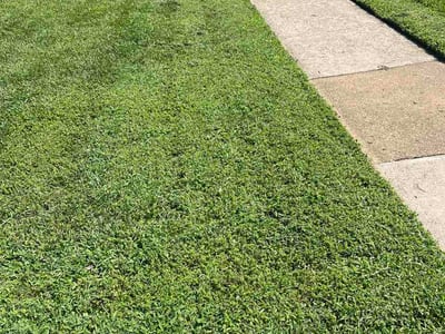 Lawn Care service in Berryville, 22611