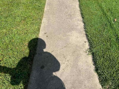 Lawn Care service in Springfield, 22150