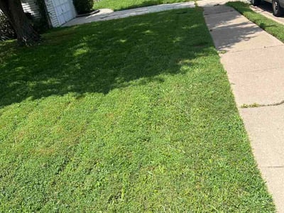 Lawn Care service in Springfield, 22150