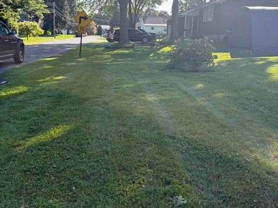 Lawn Care service in Queensbury, 12804