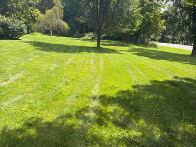 Lawn Care service in Queensbury, 12804