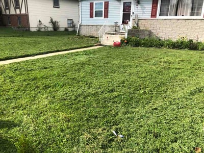 Lawn Care service in Middle River, 21220