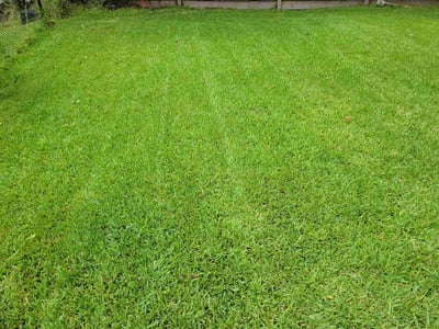 Lawn Care service in Tomball, 77375