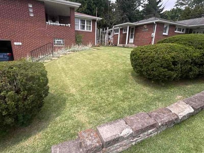 Lawn Care service in West Mifflin, 15122