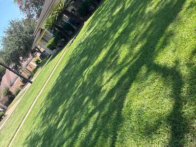 Lawn Care service in Missouri City, 77459