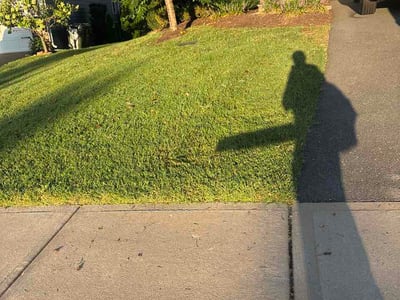 Lawn Care service in Fort Washington, 23936