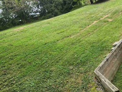 Lawn Care service in Fort Washington, 23936