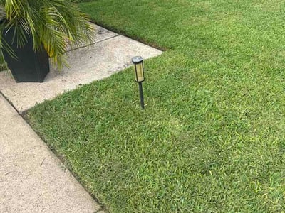 Lawn Care service in Seabrook, 77586