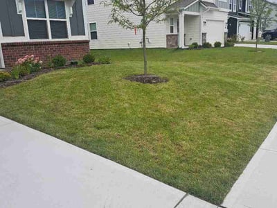 Lawn Care service in Terre Haute, 47807