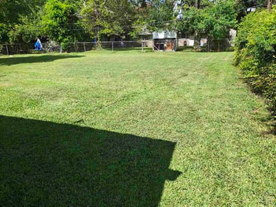 Lawn Care service in Brazoria, 77422